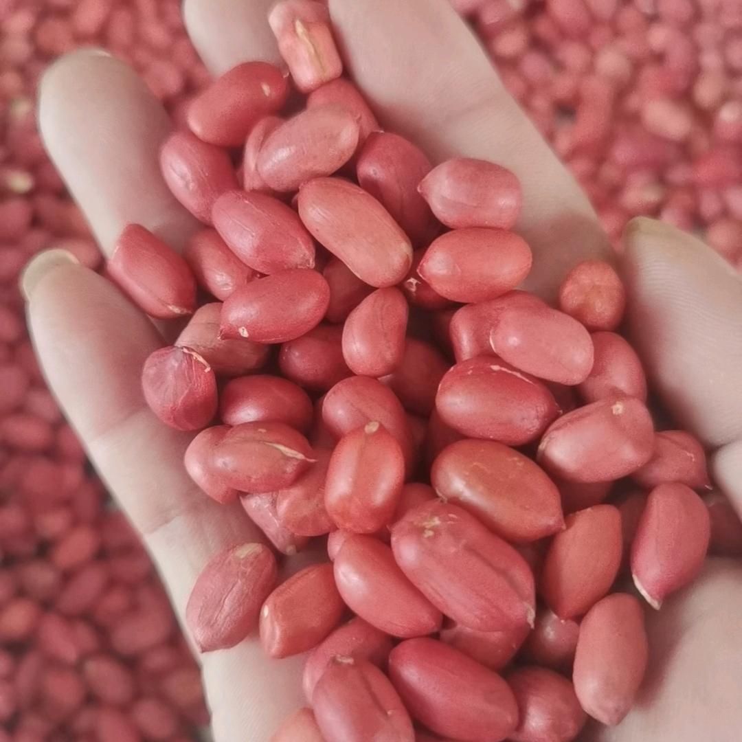 张林杂粮批发部