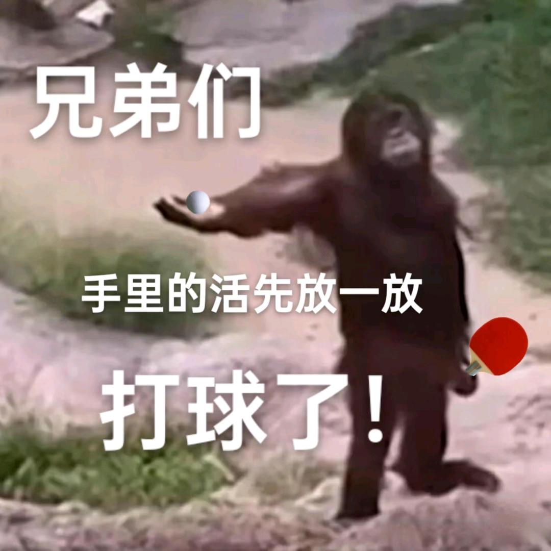 小分子团水🌈🌈