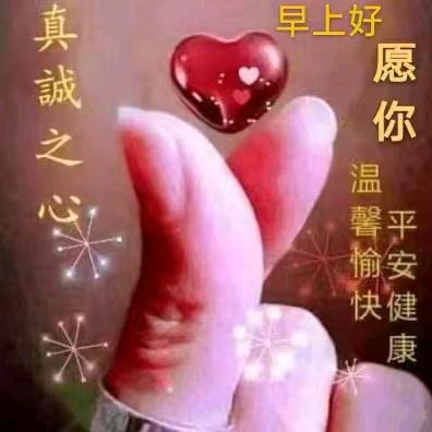 手机用户550371