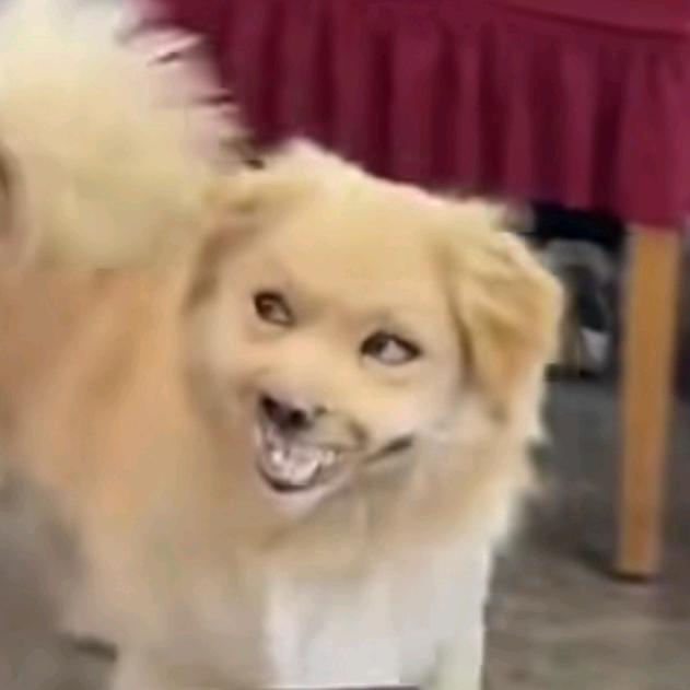 江湖夜雨十年灯