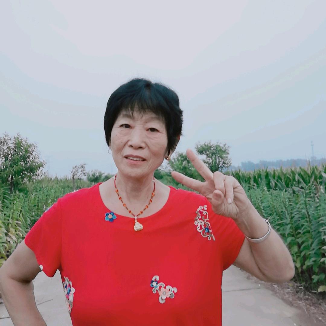 春风美美
