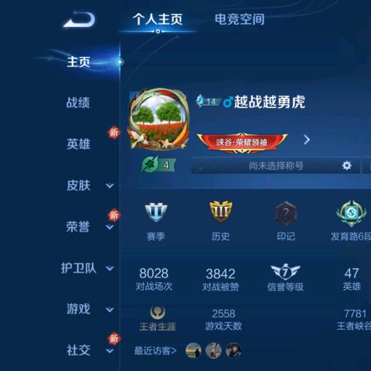 爱打游戏的大叔