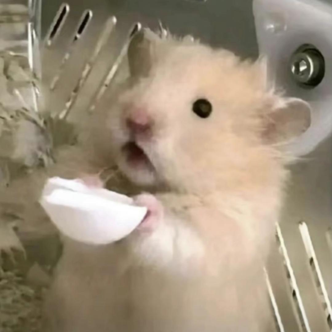 涟漪…