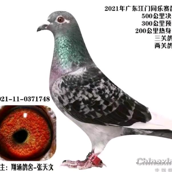 爱你一万年 👫