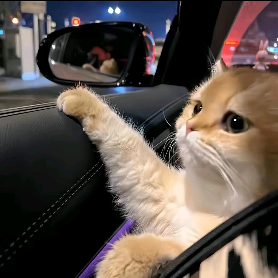 忘掉遗落