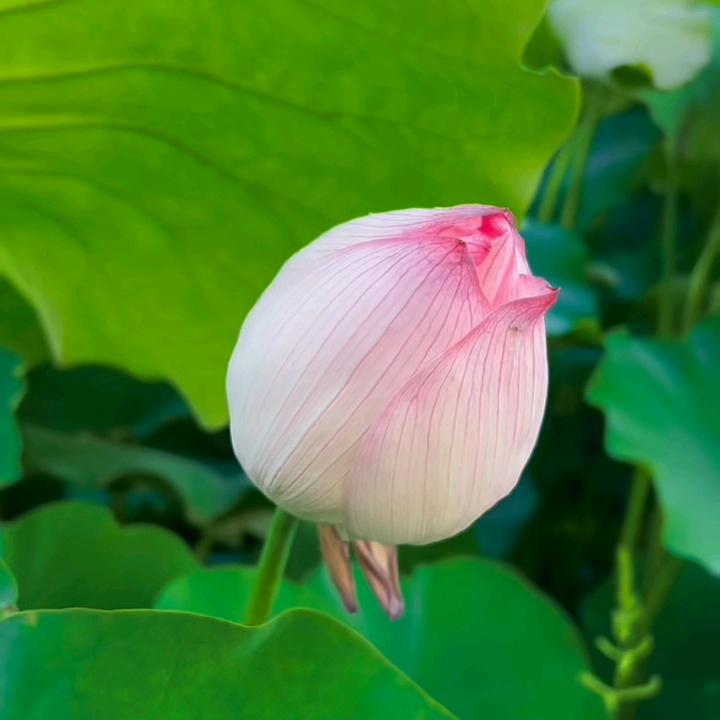 晚秋