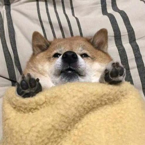 小超超