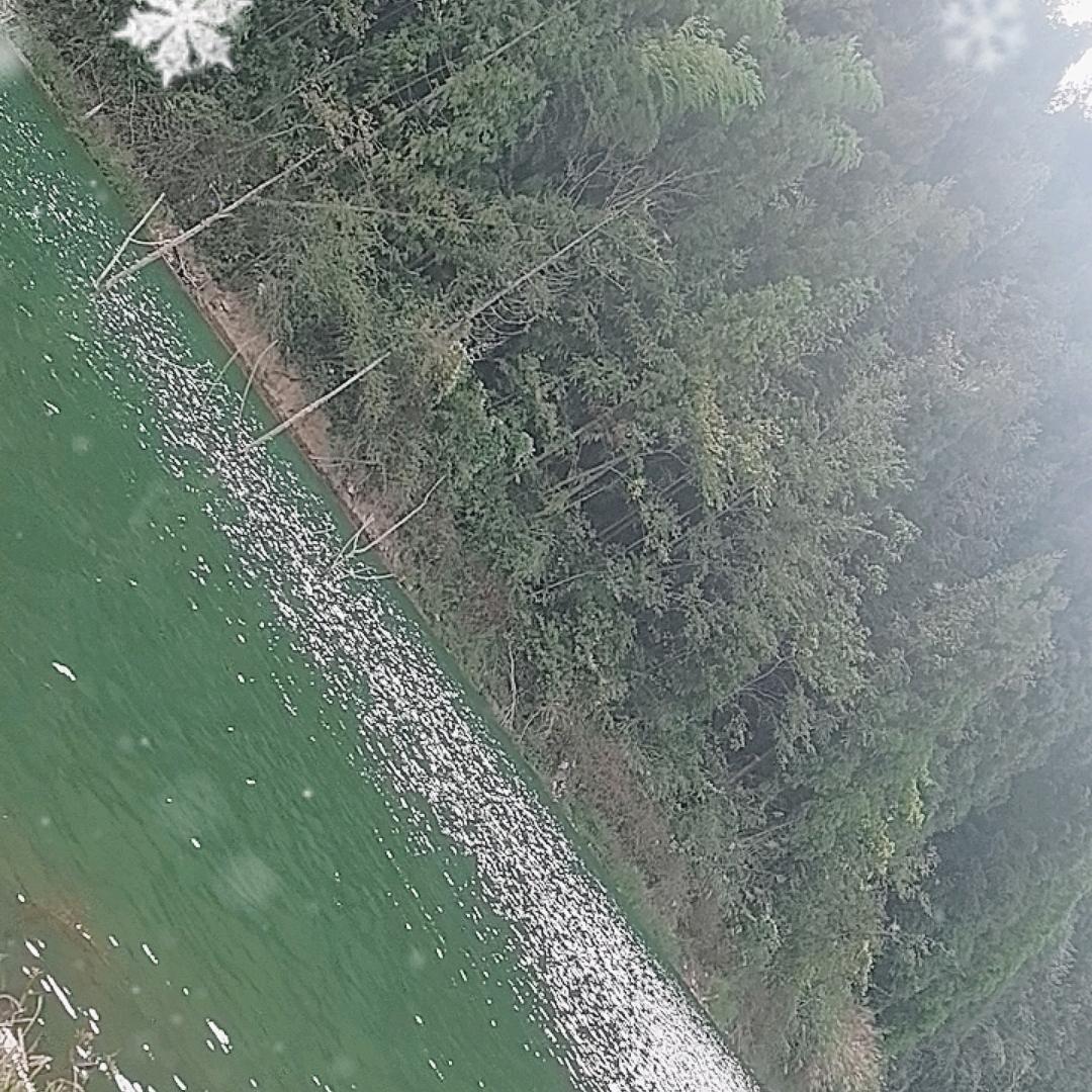 流浪人