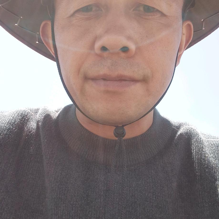 陕西人在藏区
