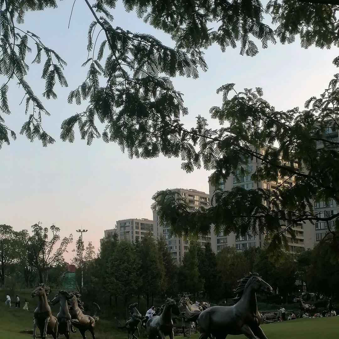 用户1030092091152