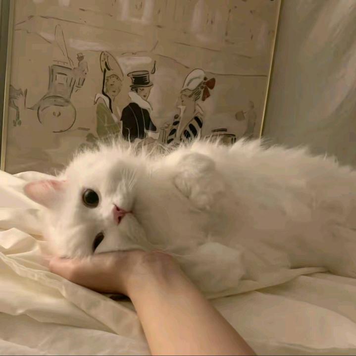 金鑫服饰