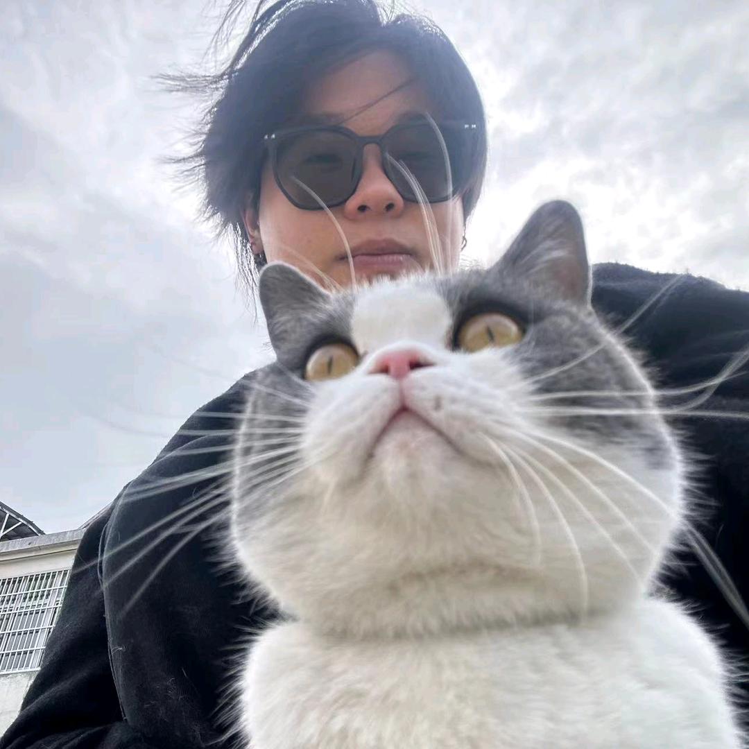 野猪亨利