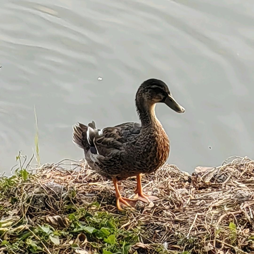 微风向暖