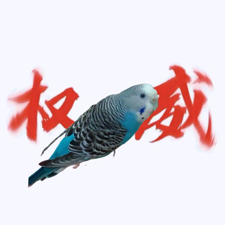 我的小鸟叫面包🍞