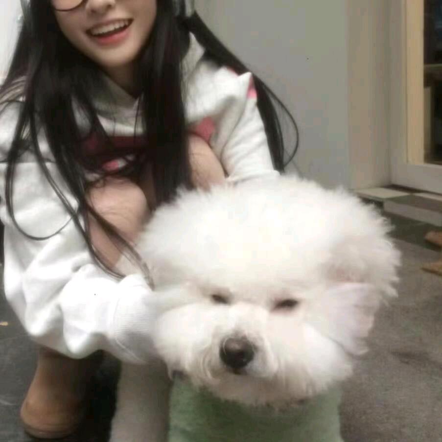 淮河以北 不退货