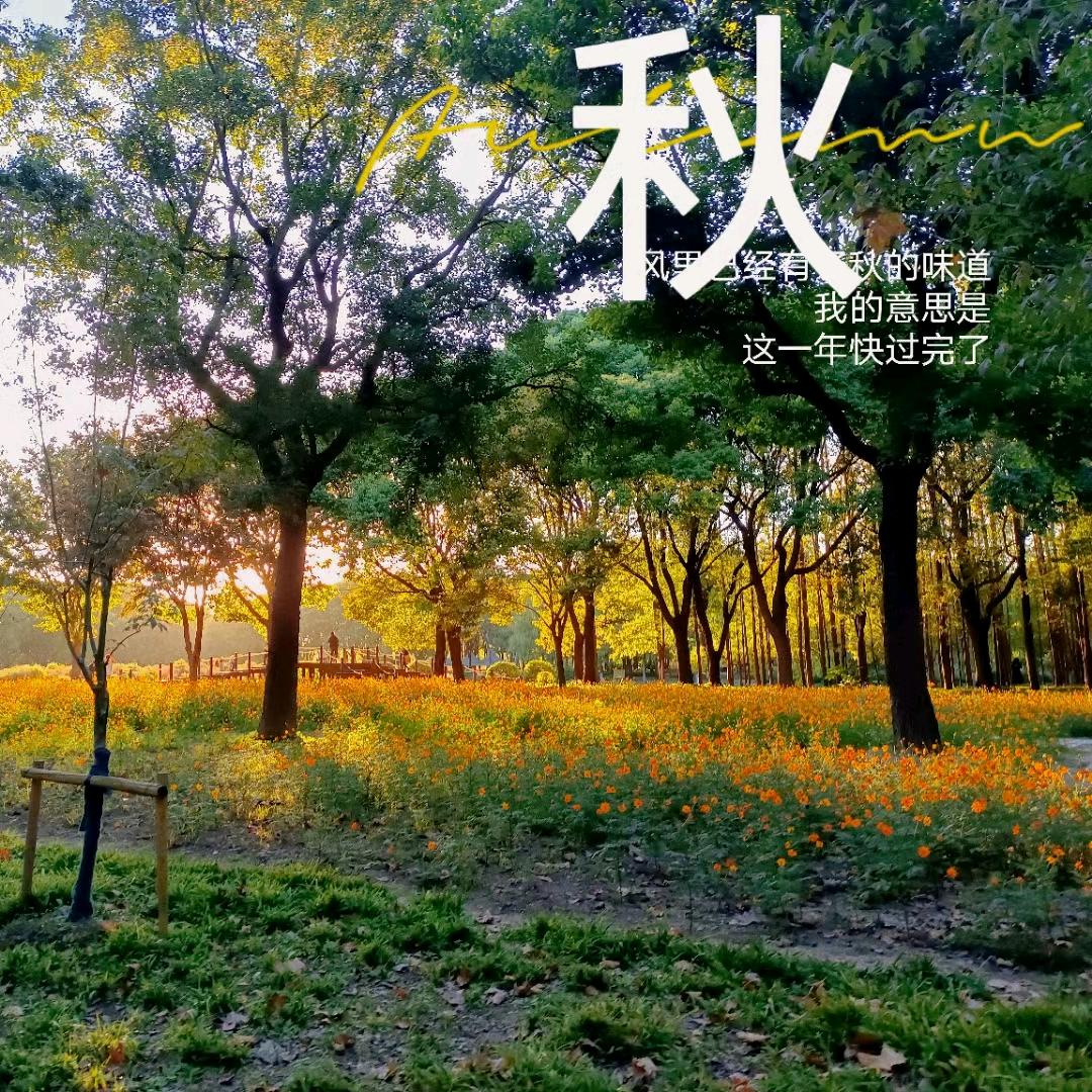 至尊