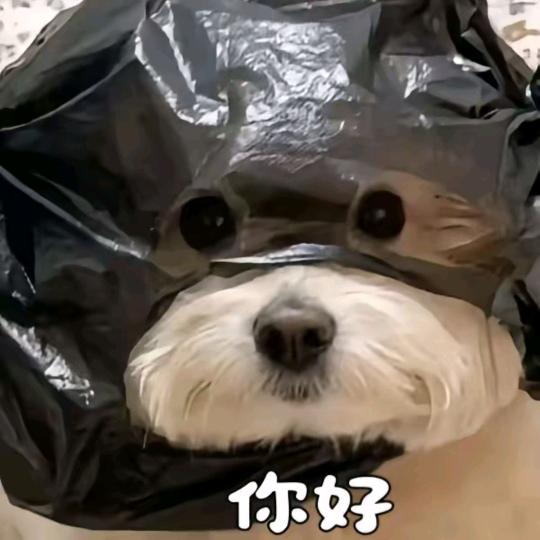 阿套啊