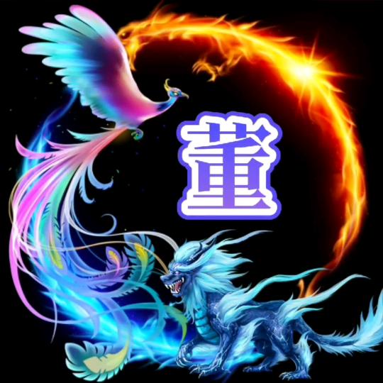 货运董哥