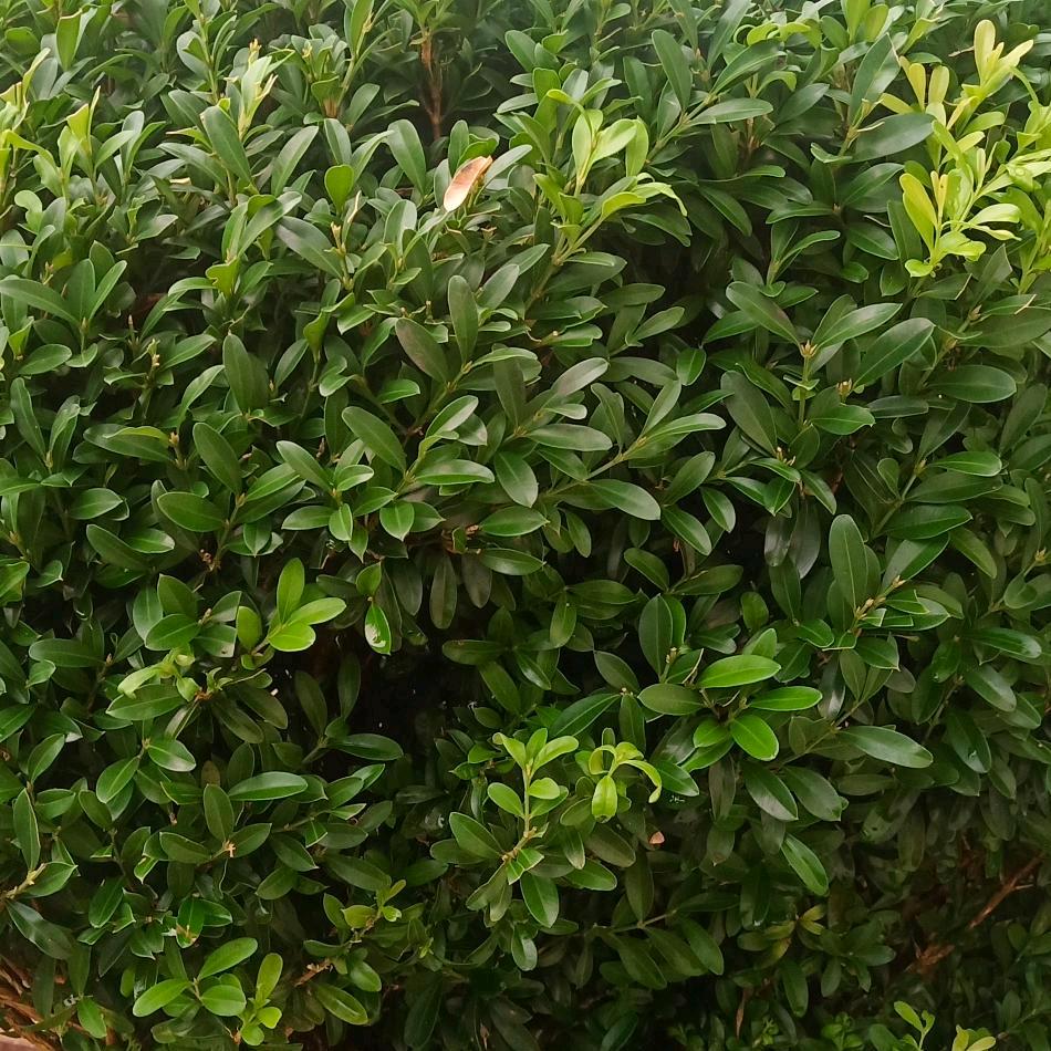 用户9517668093661