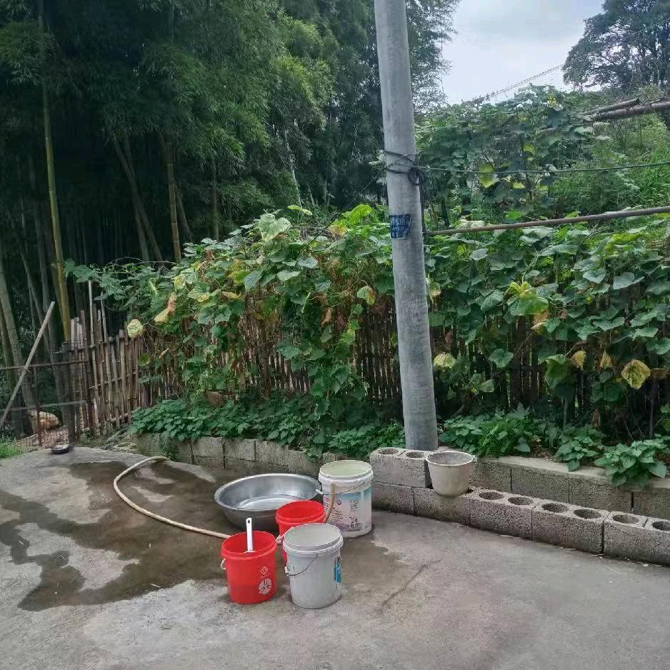 曾岳华家利多喜婚庆传媒