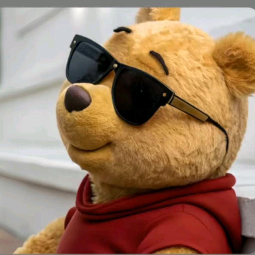 Sunglasses bear