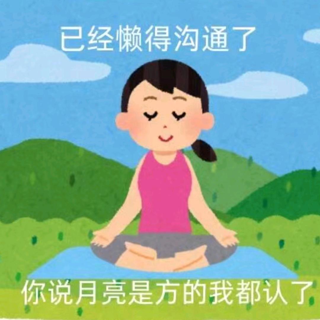 山海月