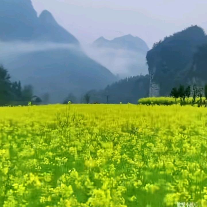简单开始