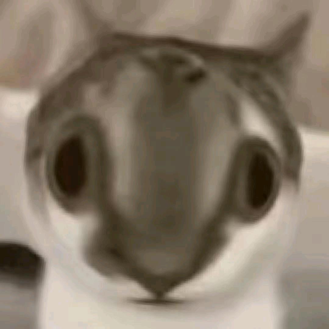 人机