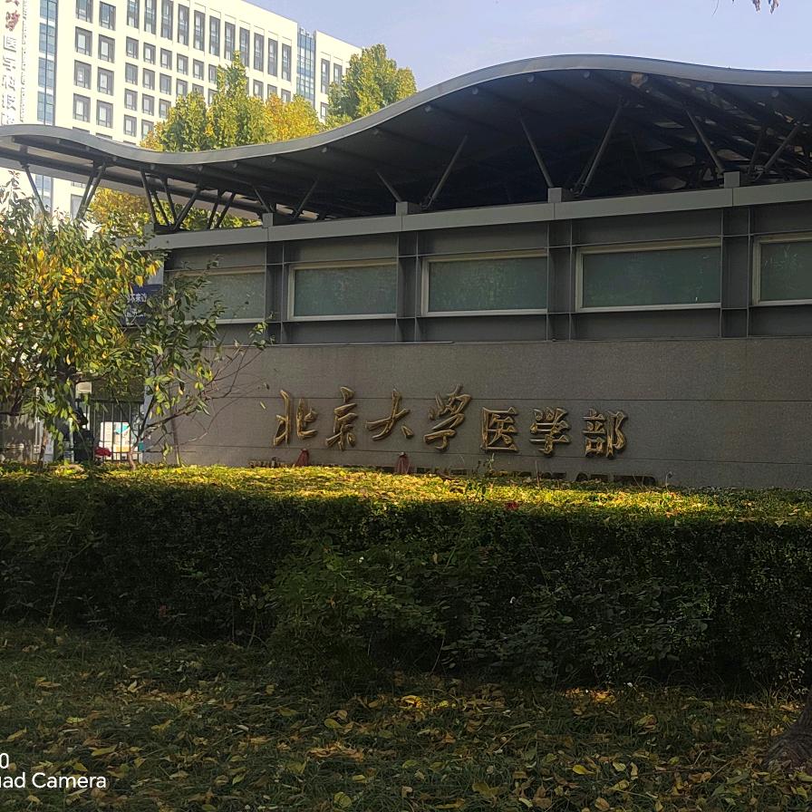 抖音是放着音乐抖吗