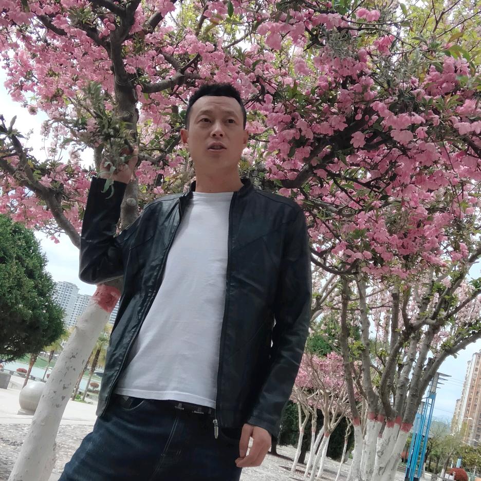 风雨后的彩虹