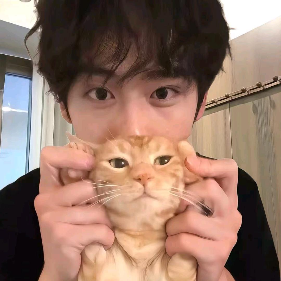 马铃薯炒土豆🥔