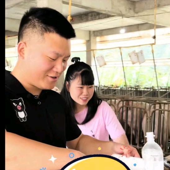 养猪的平凡人养出不平凡的猪