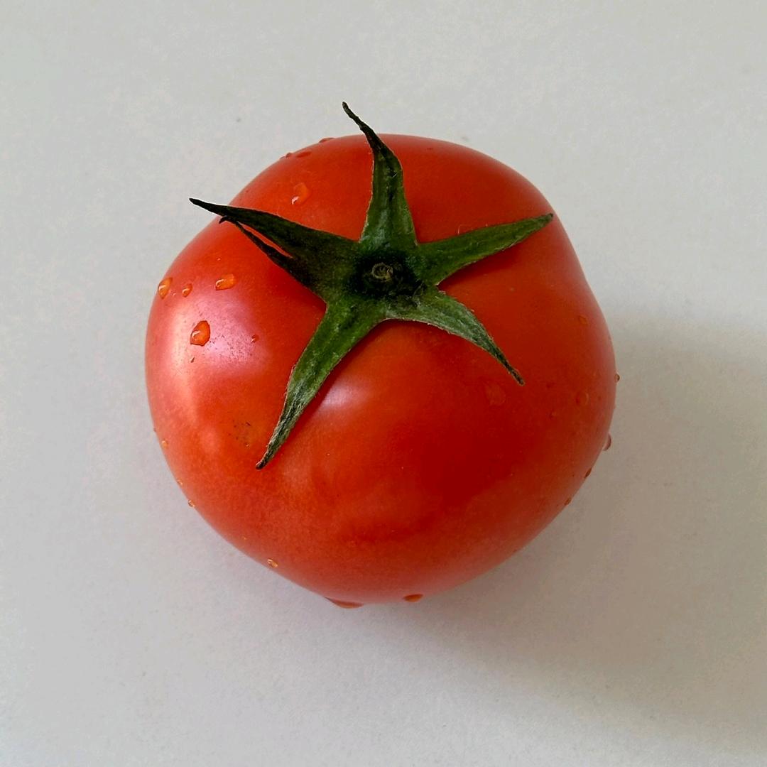 西红柿和to码头