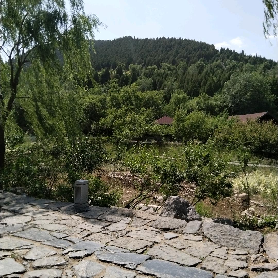 永不放弃高姐