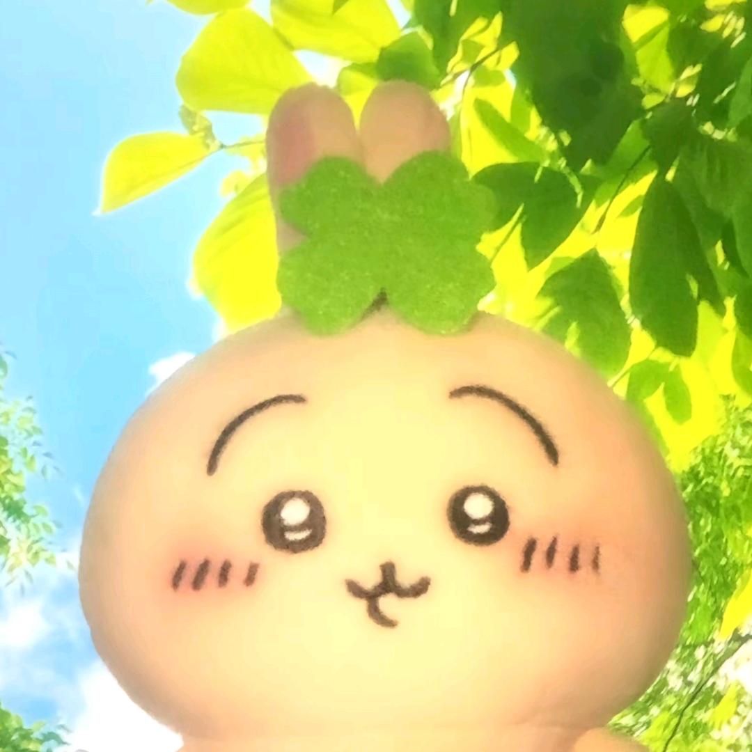 香菇炖鸡面！