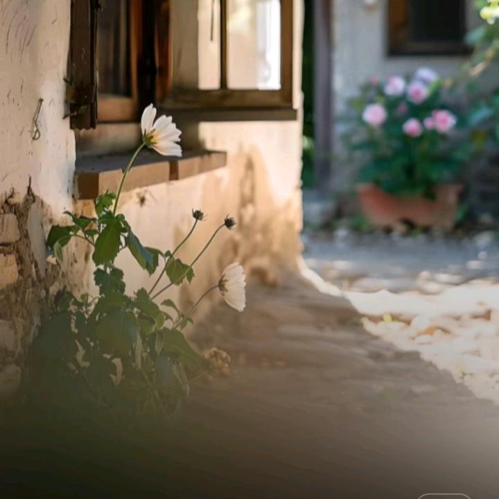 酸木瓜