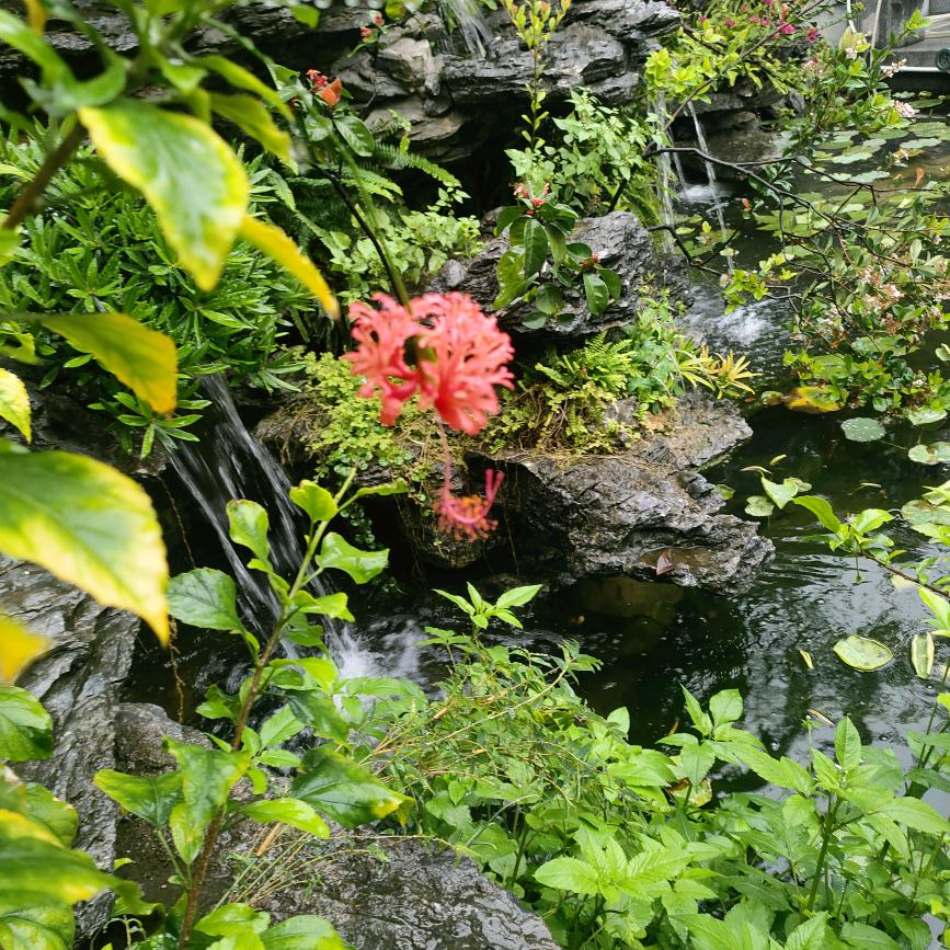 ʕ•̫͡•ʔ❤ʕ•̫͡•ʔ 梦想ჰ