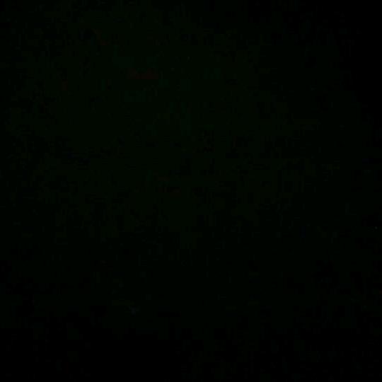 我的一个道菇朋友