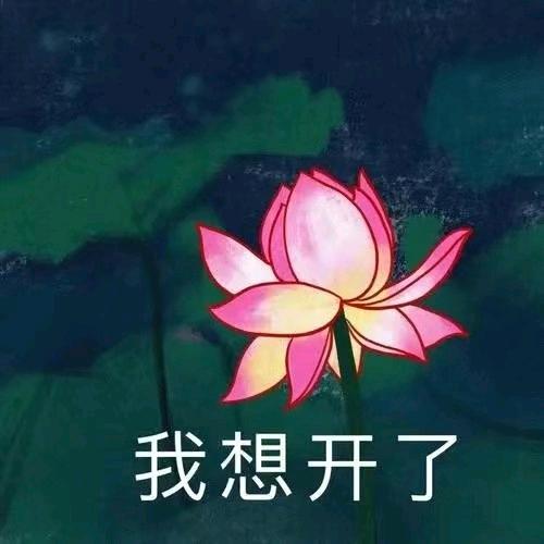 我的世界有你