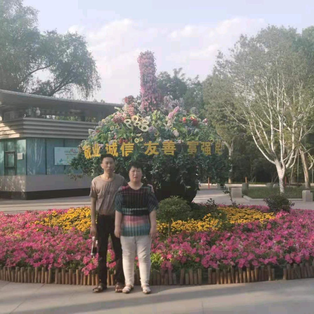 观望小剧场头像