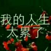 单亲爸爸寻找有缘人