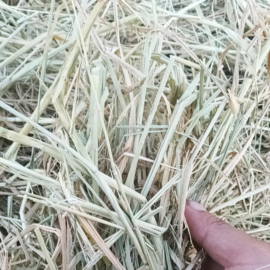 思源草业