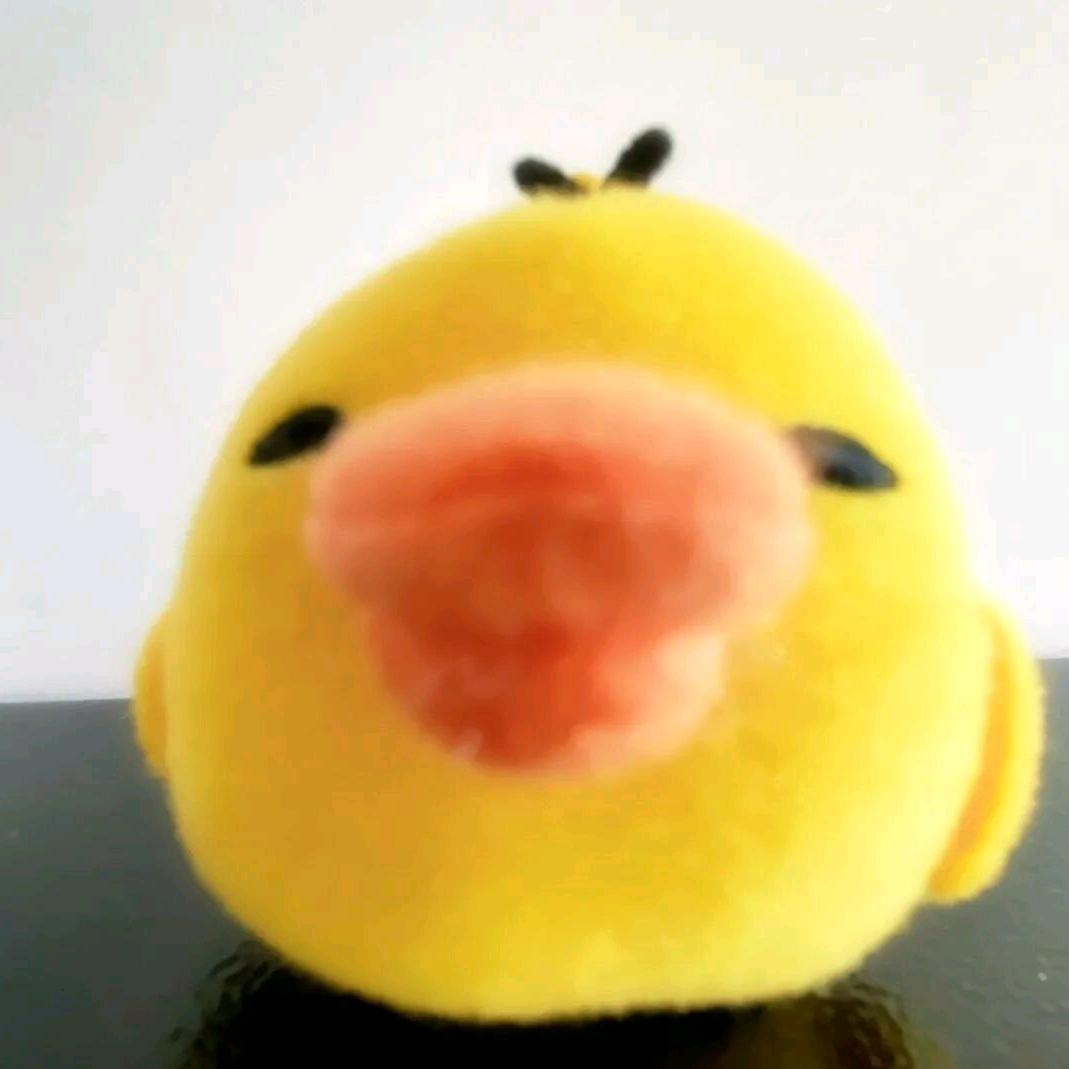 上网不带脑的别和我说话