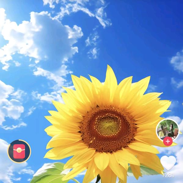 小春天🪷🪷🪷🌻🌻🌻
