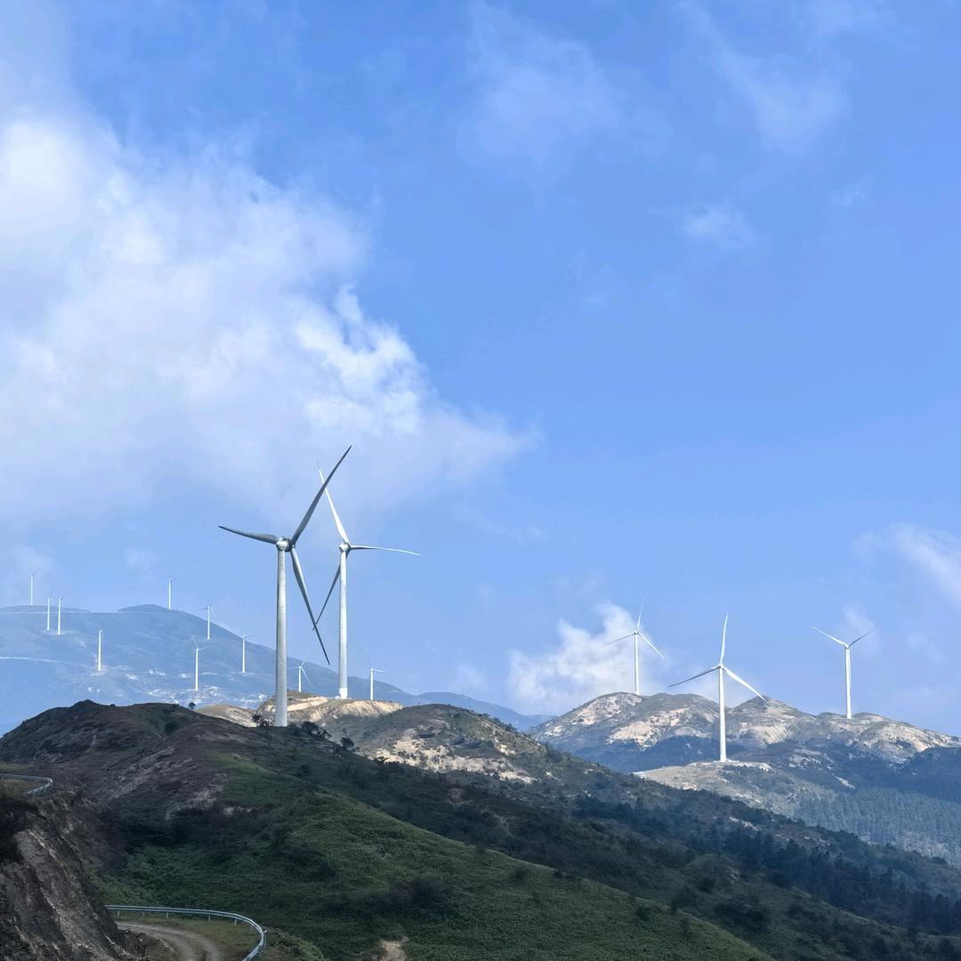 (●'◡'●小伍●'◡'●)