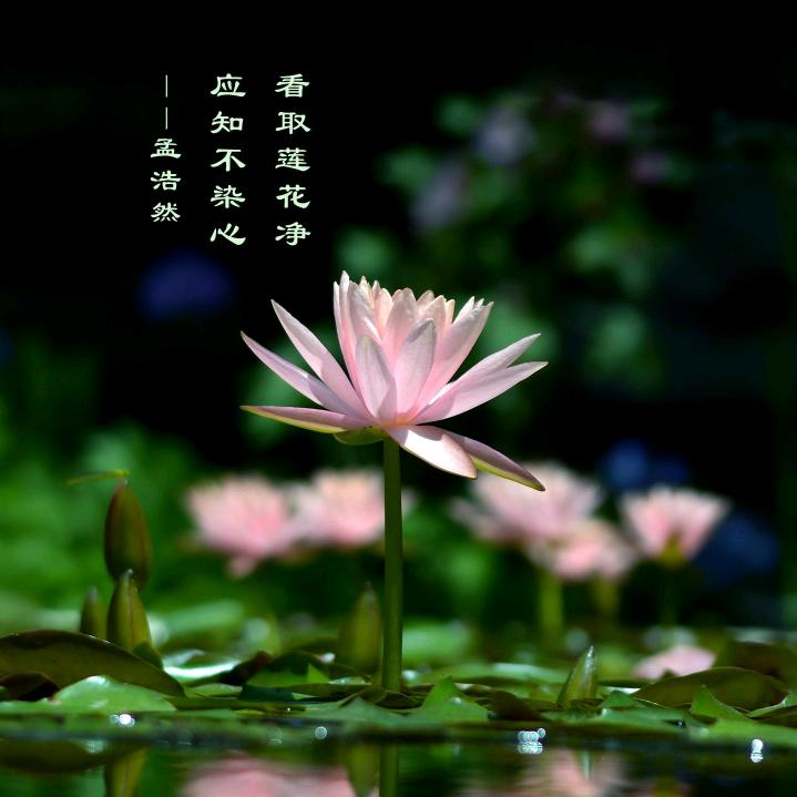 “超越”