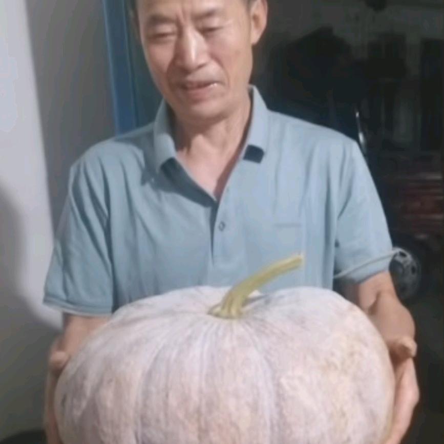 财源滚滚来🌺🌺