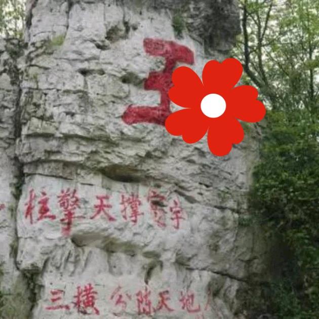 @中原虎哥