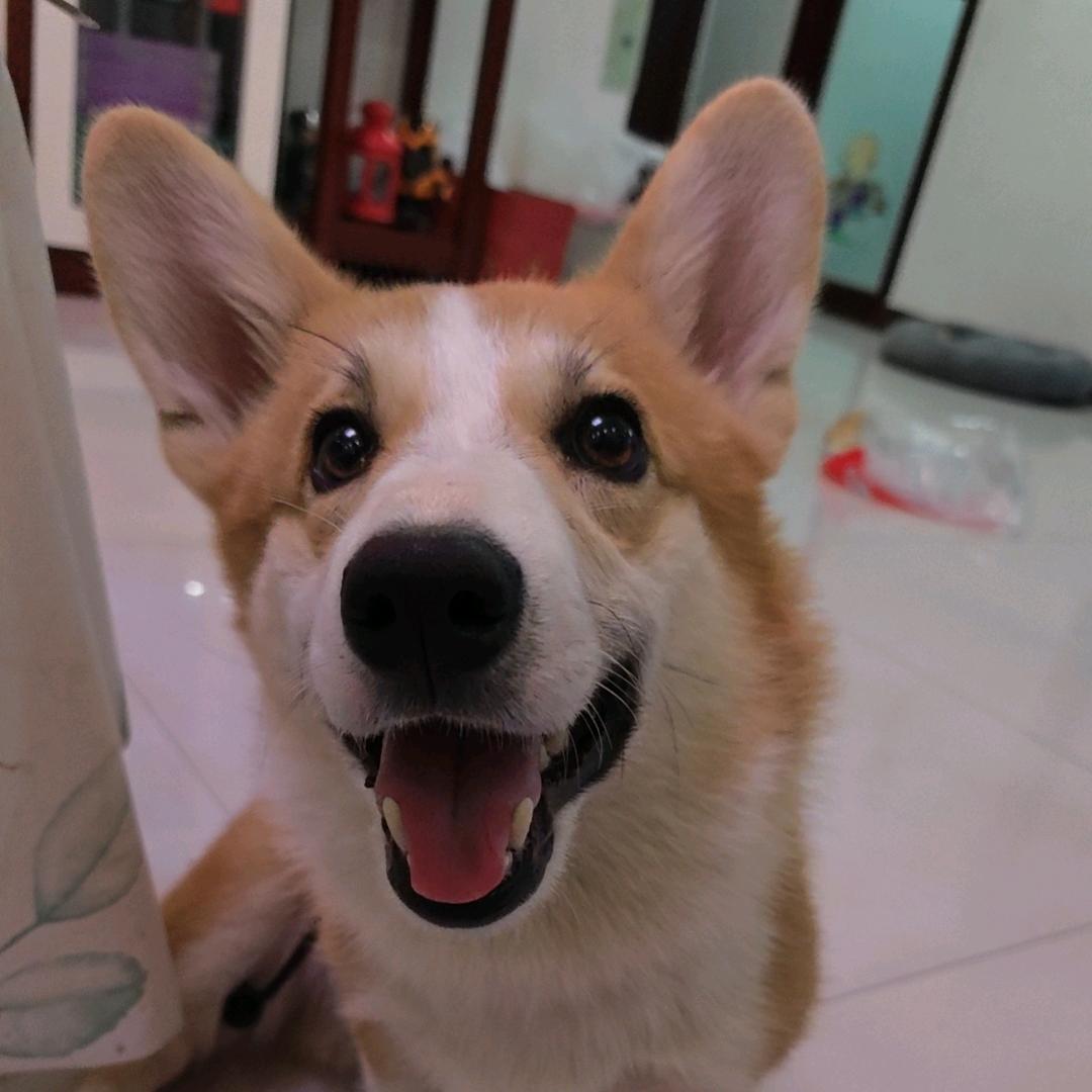 没有名字的头像