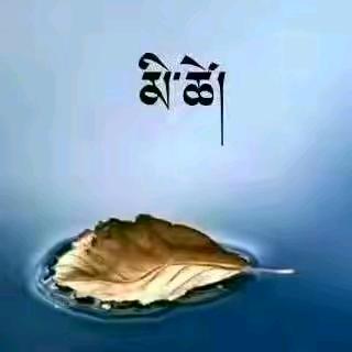 མི་ཚེ་~~🍁~~ རྨི་ལམ།